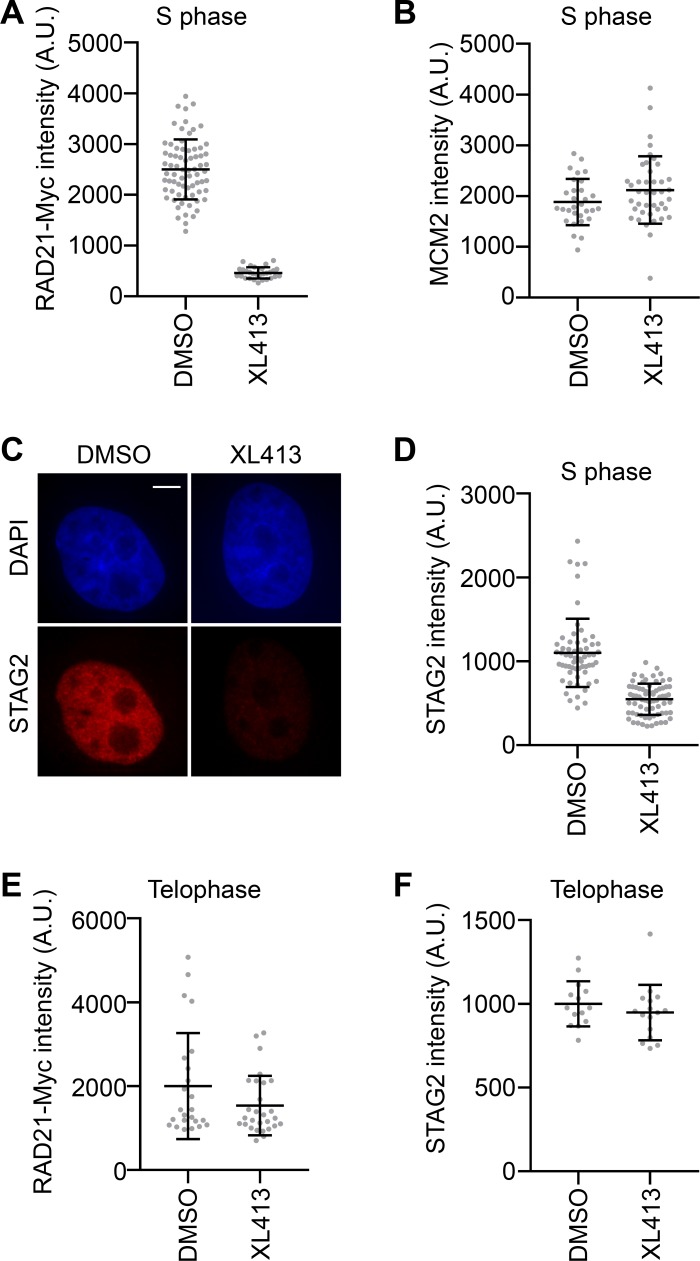 Figure 3—figure supplement 3.