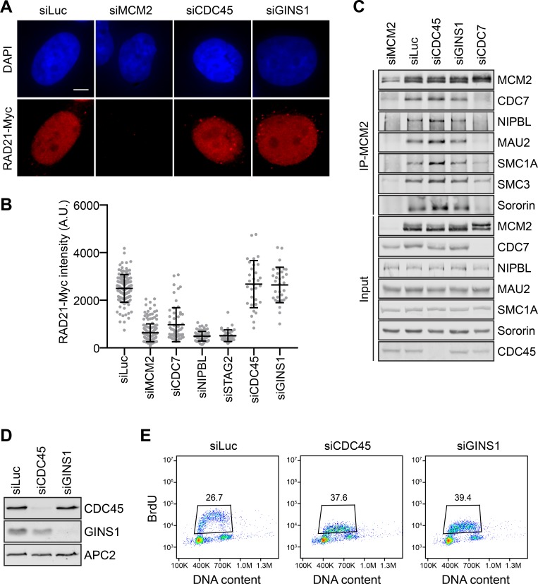 Figure 3—figure supplement 4.