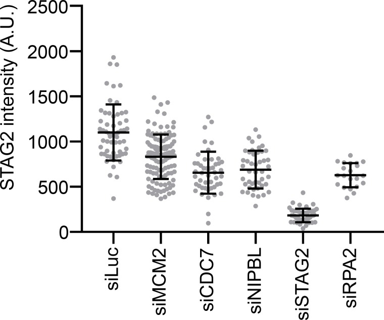 Figure 6—figure supplement 4.