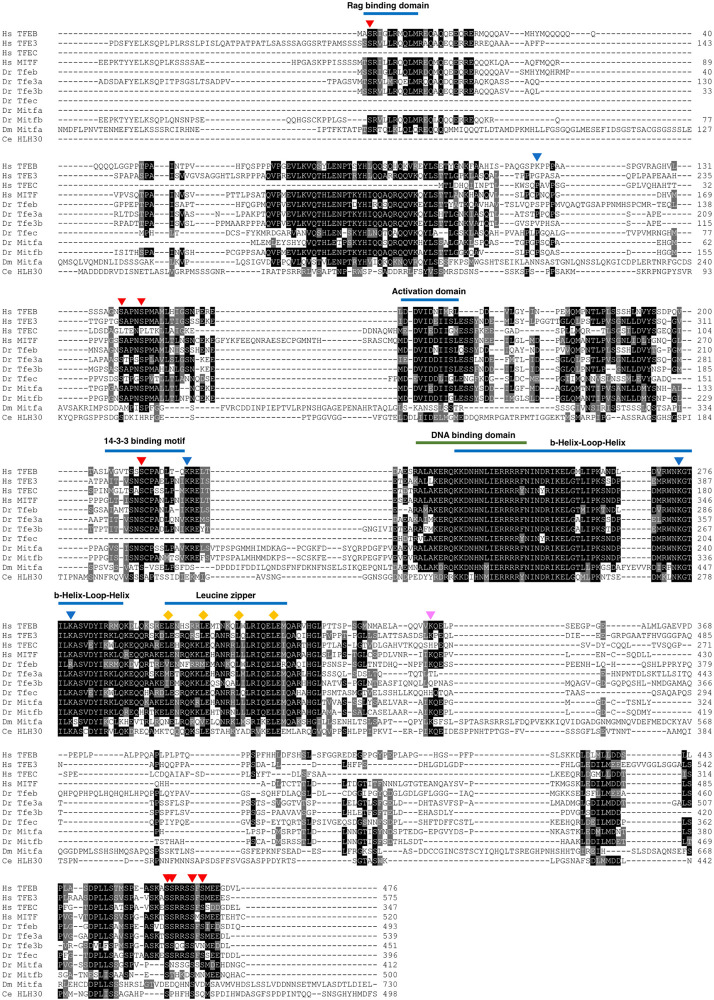 FIGURE 2