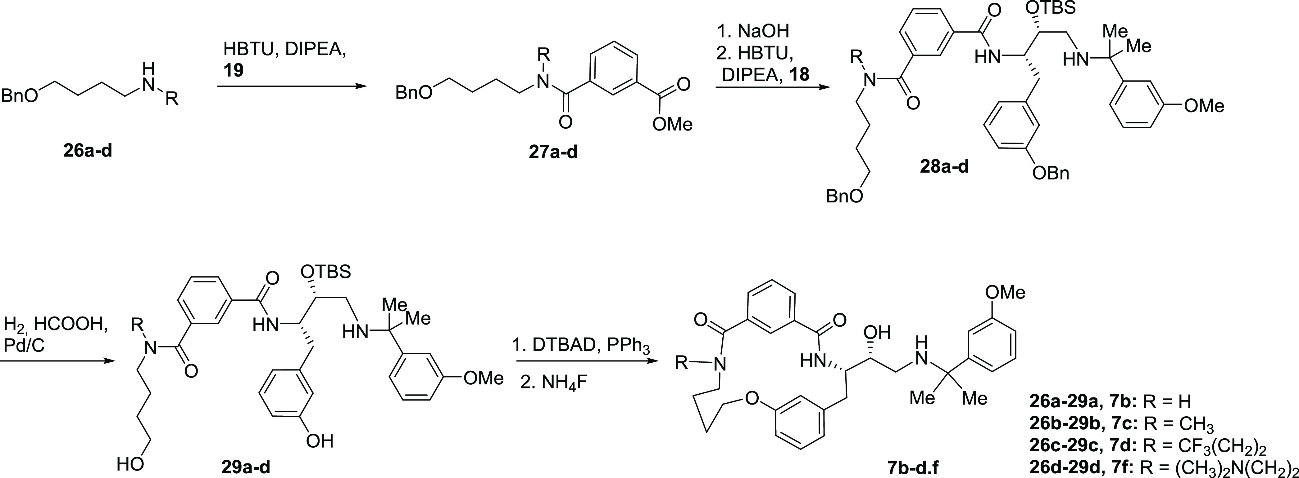 Scheme 3