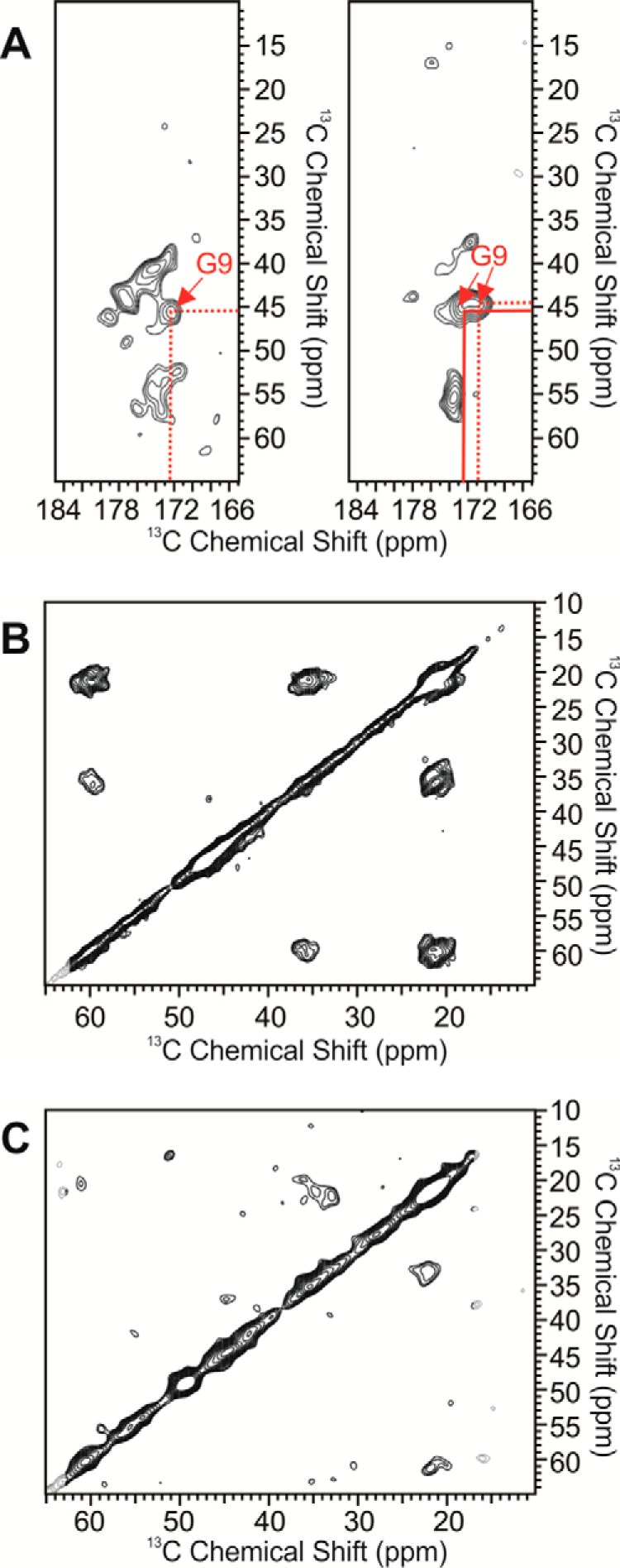 FIGURE 10.