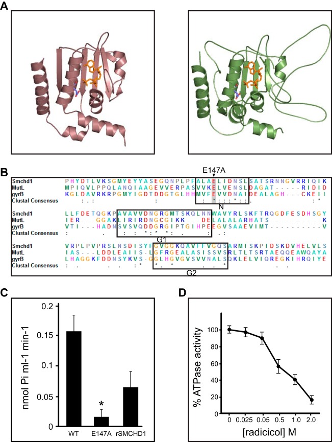 FIG 4