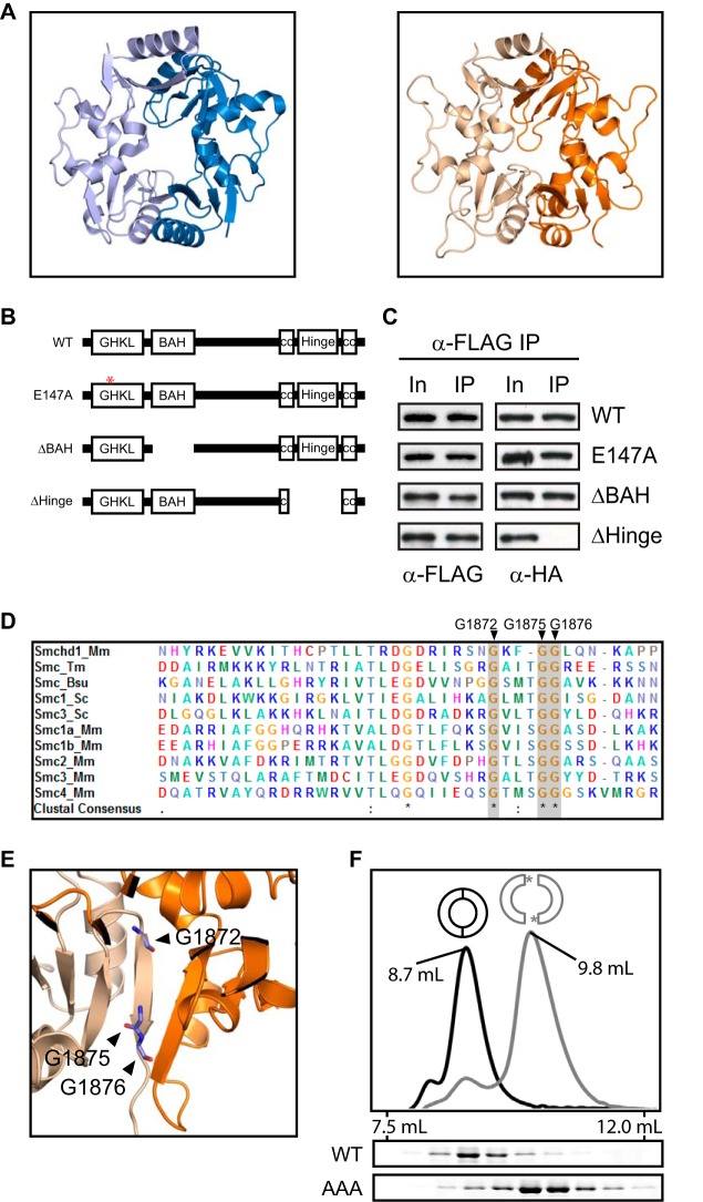 FIG 3