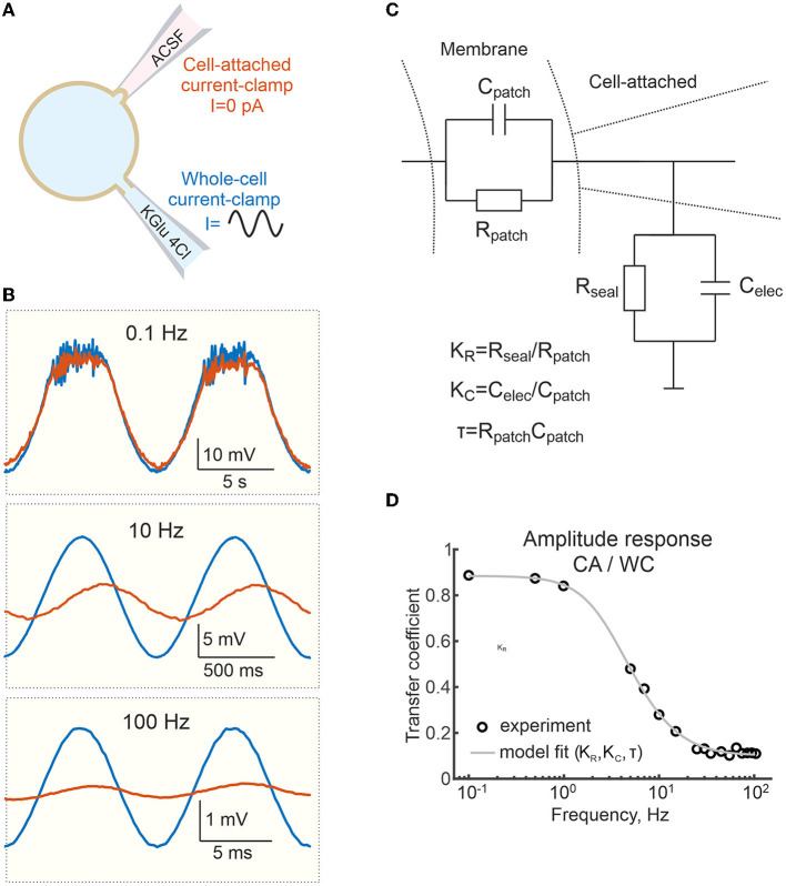 Figure 5