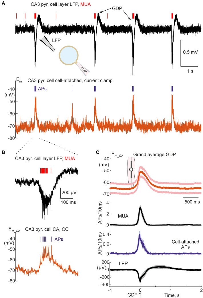 Figure 12