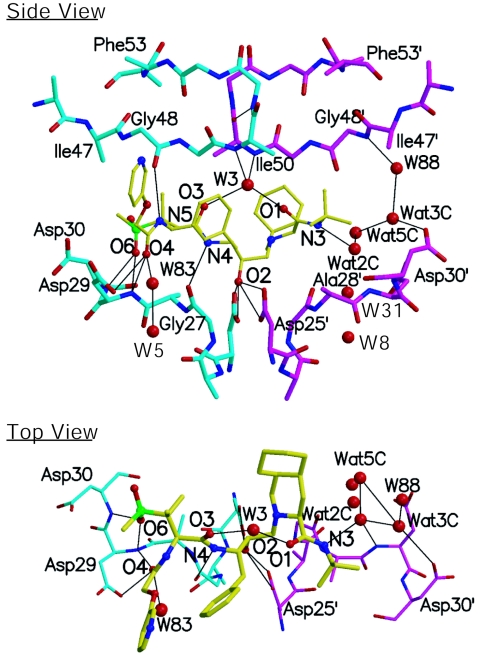 FIG. 2.