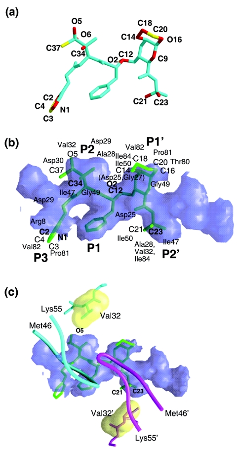 FIG. 3.