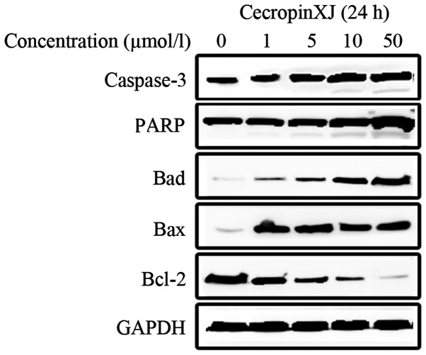 Figure 5.