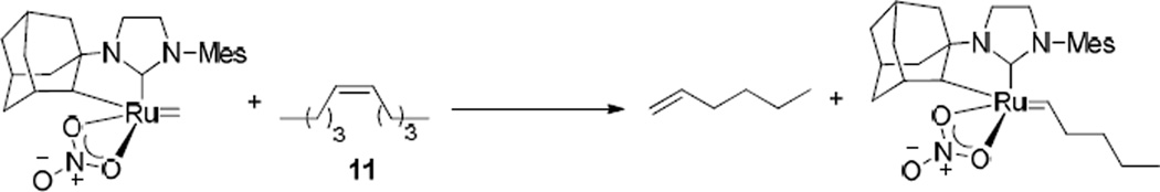 Scheme 4