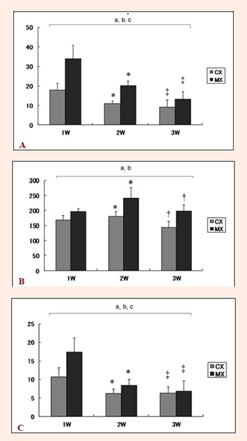 Figure 5.