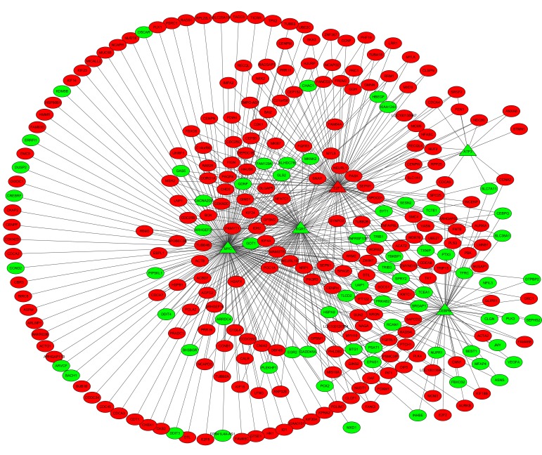 Figure 3.