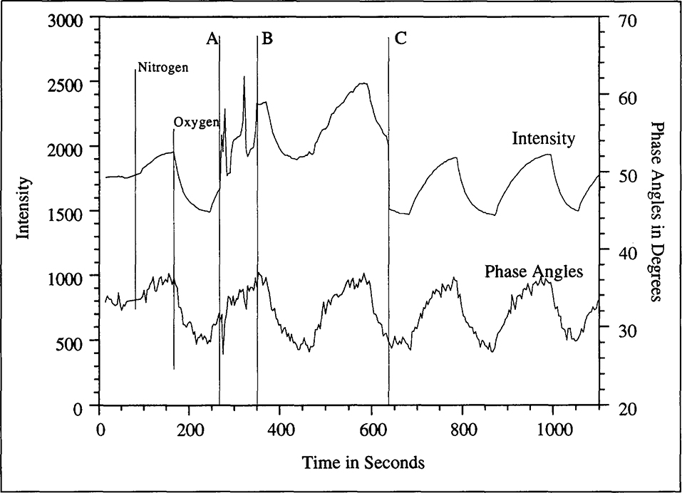 Figure 6.