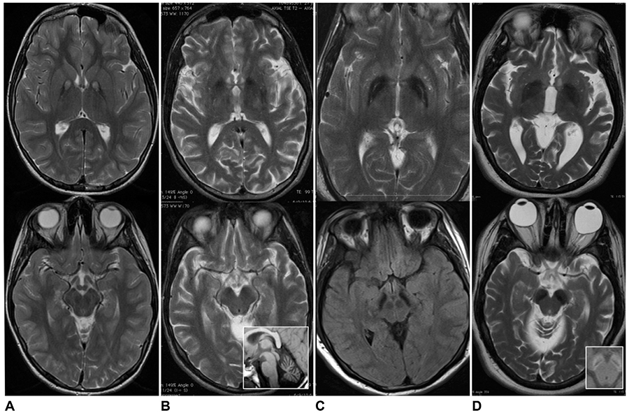 Fig. 19.1.