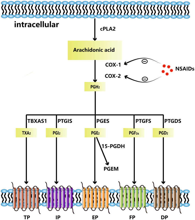 Figure 1