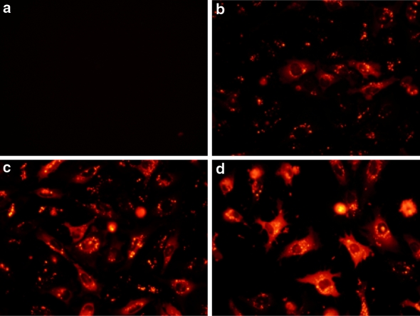 Fig. 2