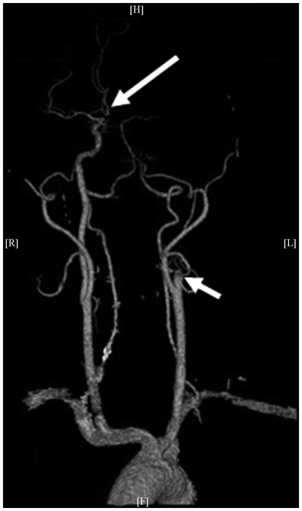 Figure 2.