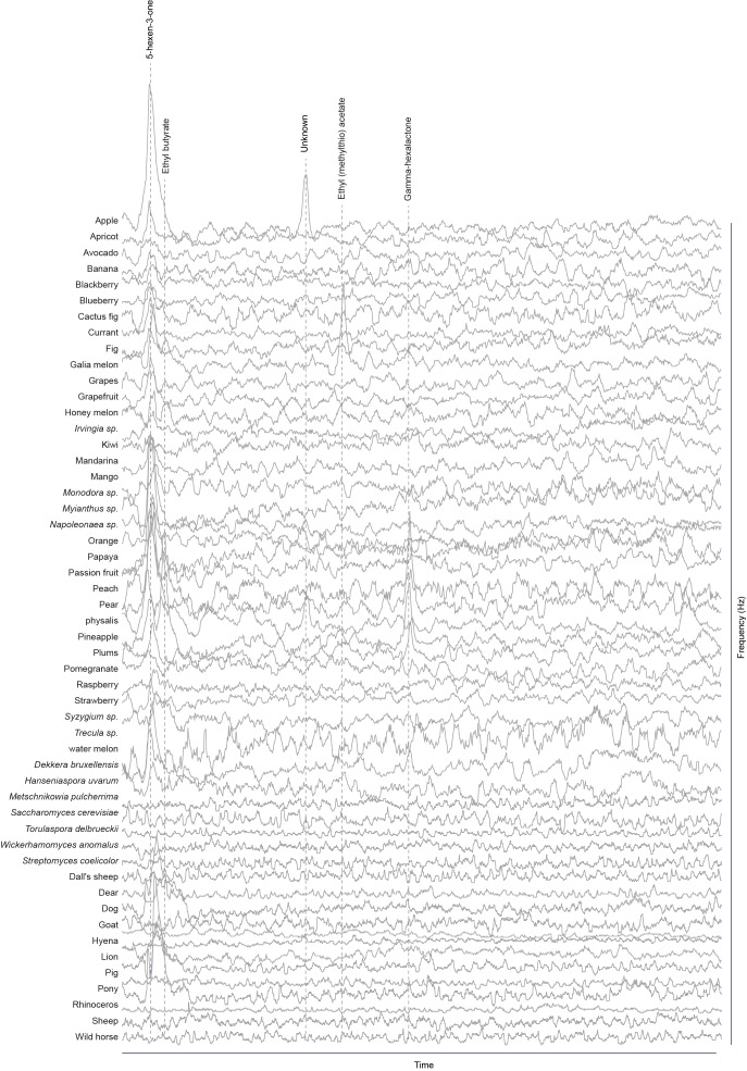 Figure 1—figure supplement 1.