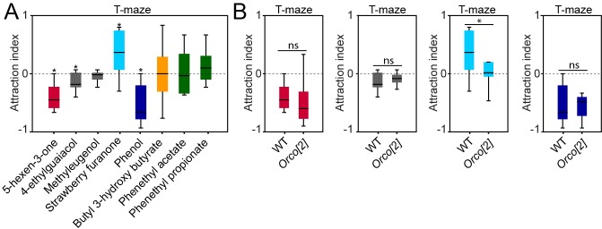 Figure 5—figure supplement 1.