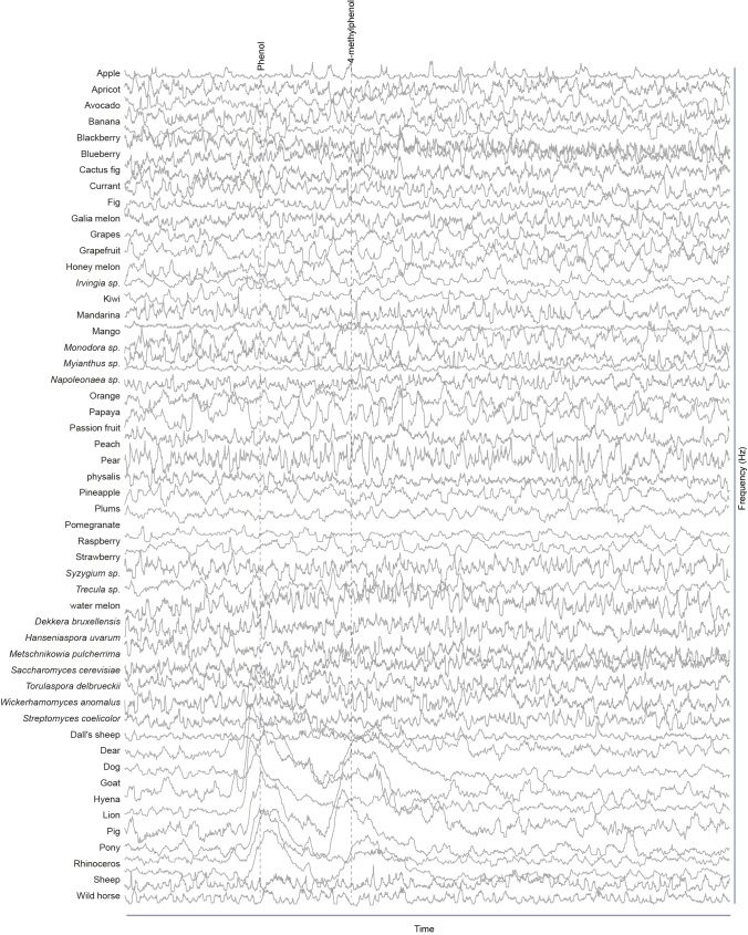 Figure 1—figure supplement 4.