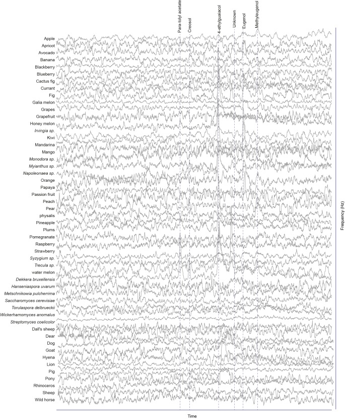 Figure 1—figure supplement 2.