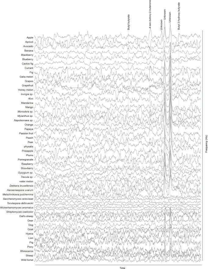 Figure 1—figure supplement 5.