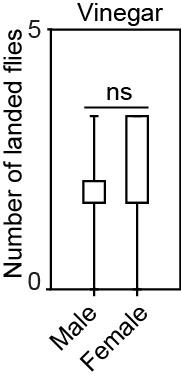 Figure 5—figure supplement 2.