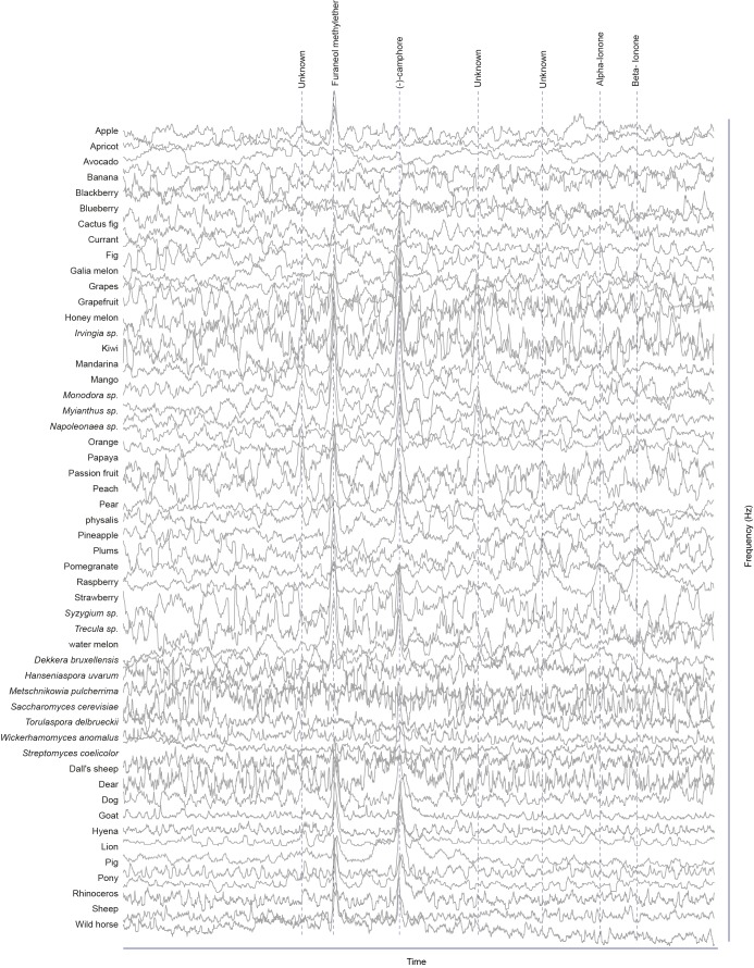 Figure 1—figure supplement 3.