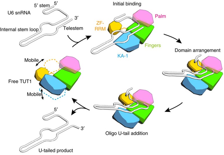 Figure 5