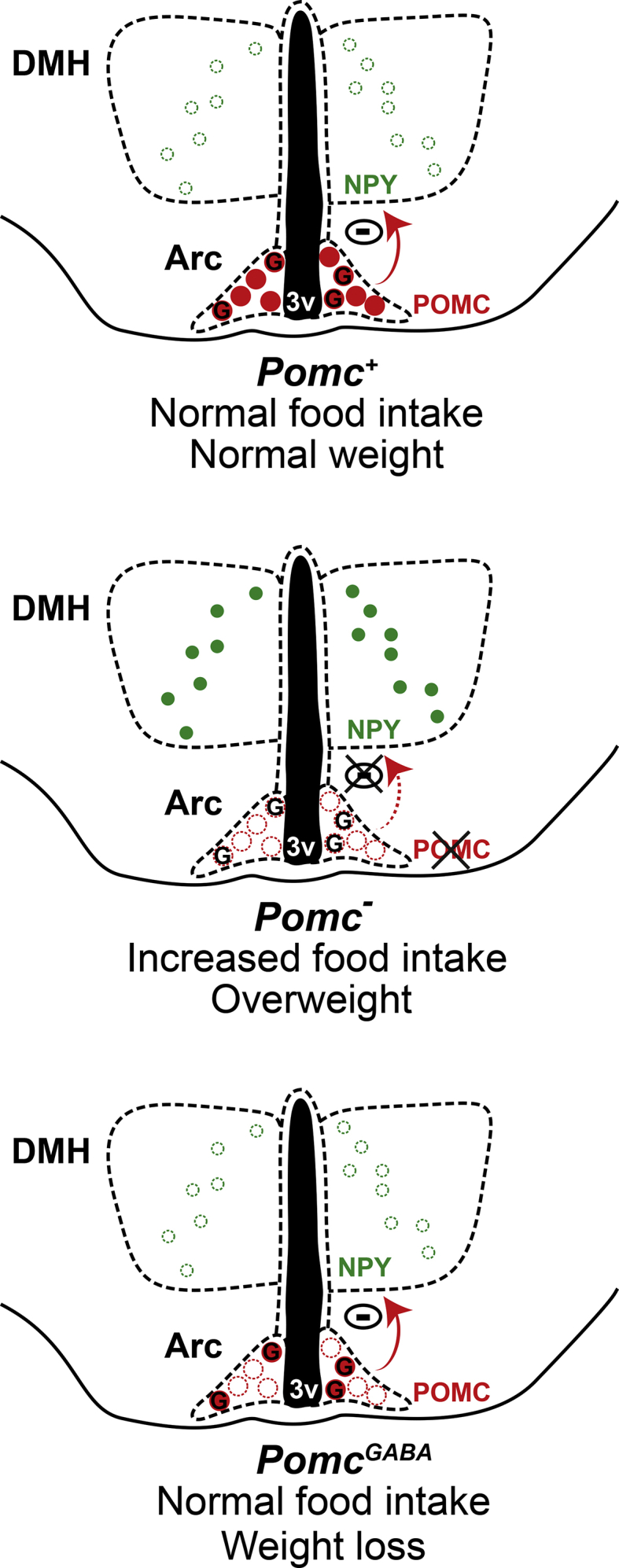 Figure 7