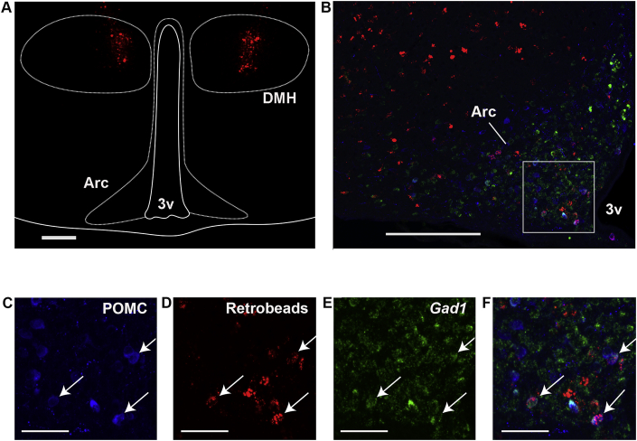 Figure 6