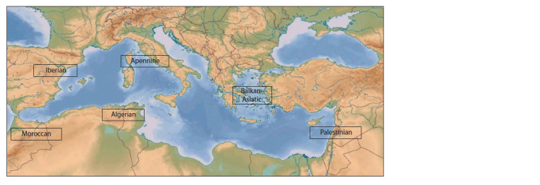 Fig. 3.