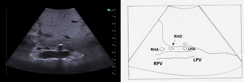 Fig. 27