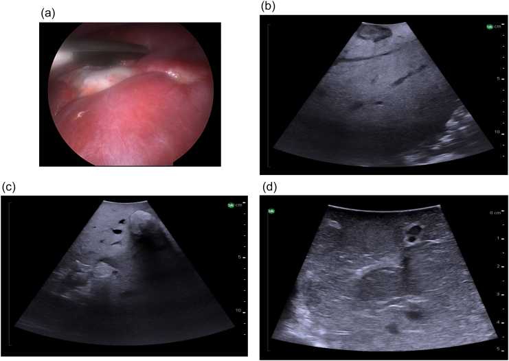 Fig. 37