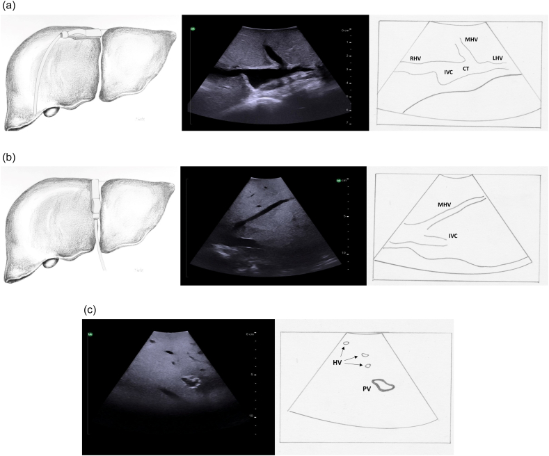 Fig. 8