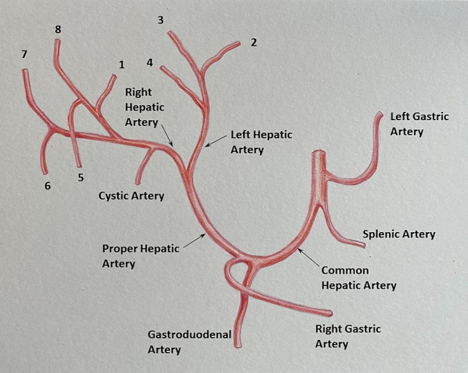 Fig. 24