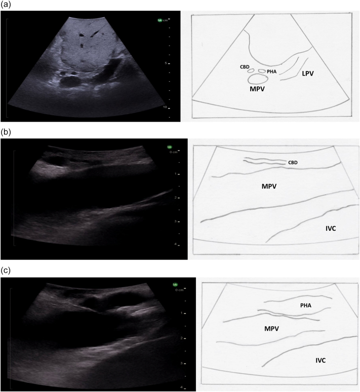 Fig. 26