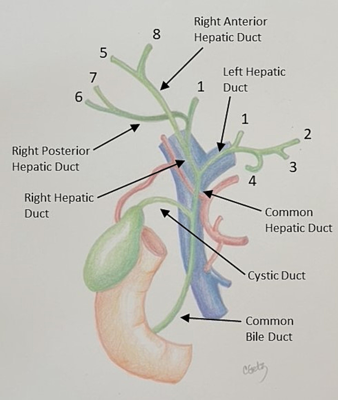 Fig. 29