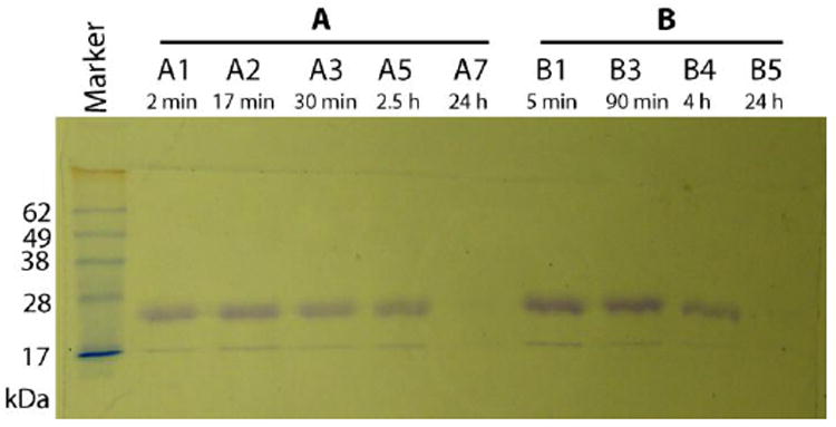 Fig.1