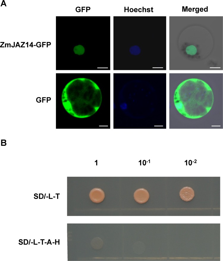 Fig 3