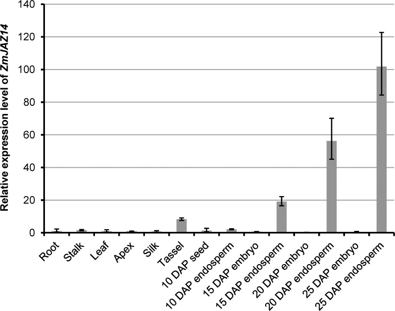 Fig 2