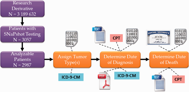 Figure 1: