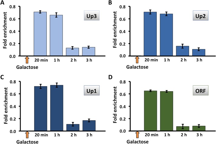 FIGURE 6: