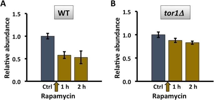 FIGURE 4: