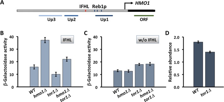 FIGURE 1: