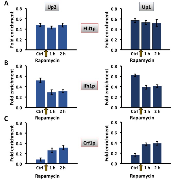 FIGURE 10: