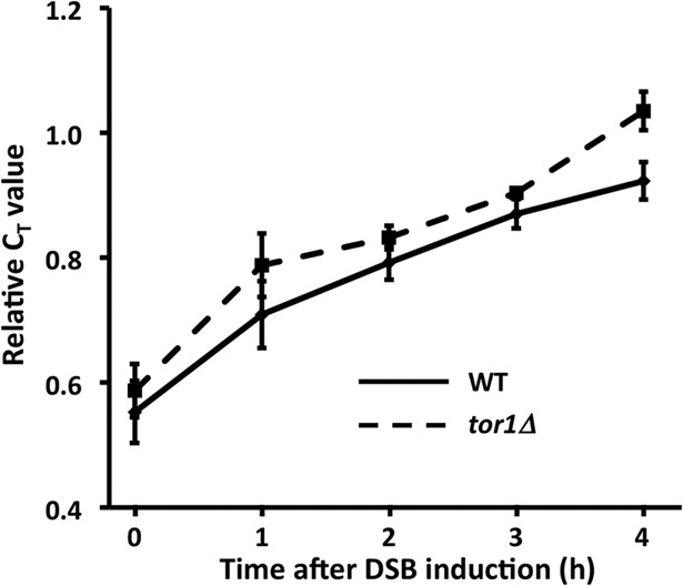 FIGURE 3: