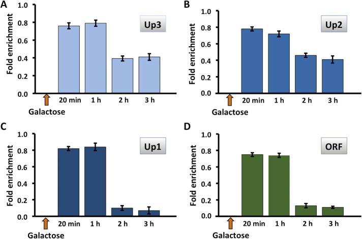 FIGURE 7: