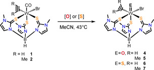 Scheme 2