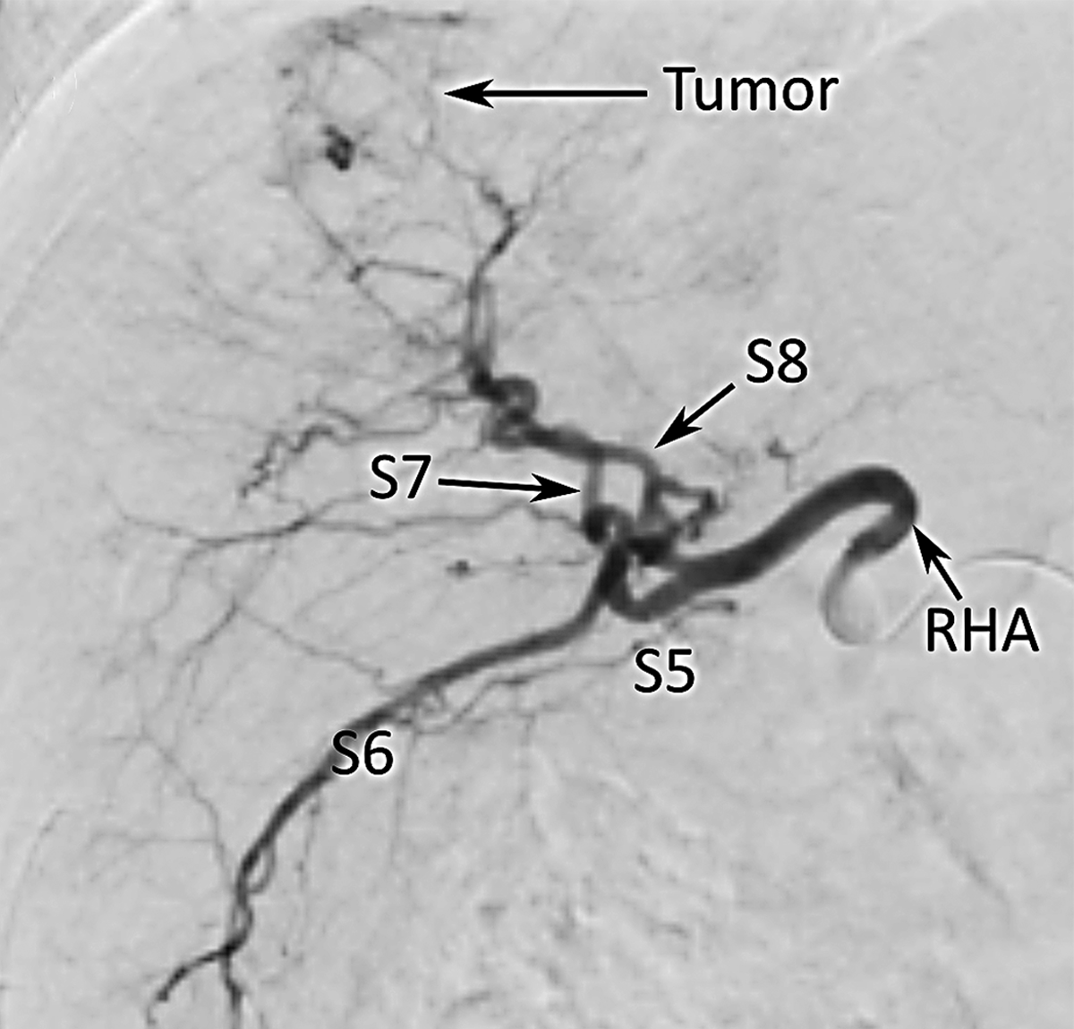 Figure 2 –